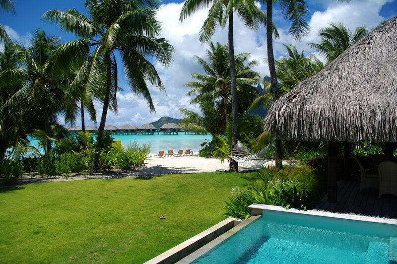 Tropical Resort Pool — Green, Serene, Afternoon, Photograph, Palm Trees