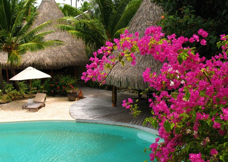 Tropical Resort Pool — Pink