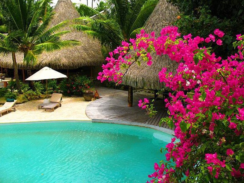 Tropical Resort Pool — Turquoise, Serene