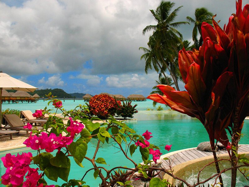 Tropical Resort Pool — Turquoise