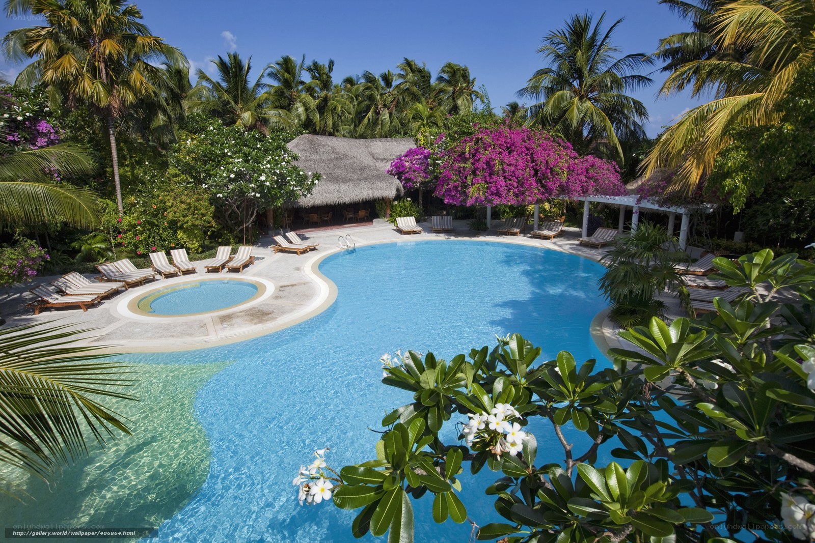 Tropical resort pool with lounge chairs