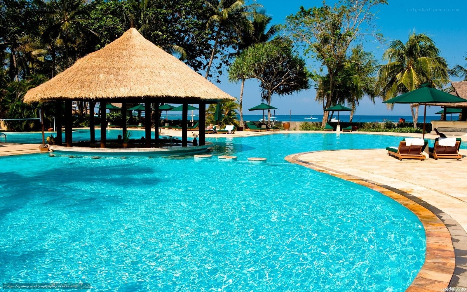 tropical resort pool with ocean view