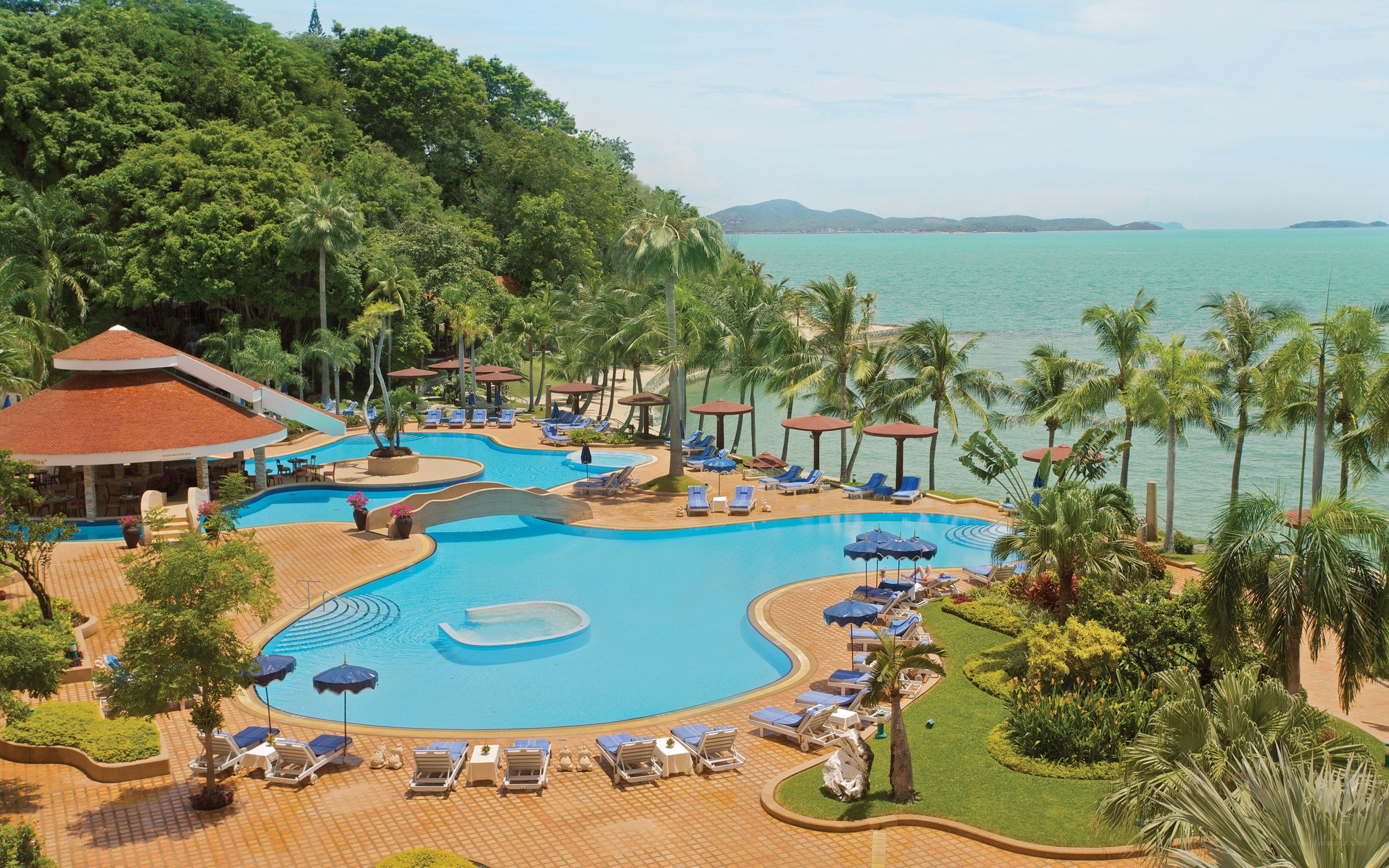 tropical resort pool with ocean view