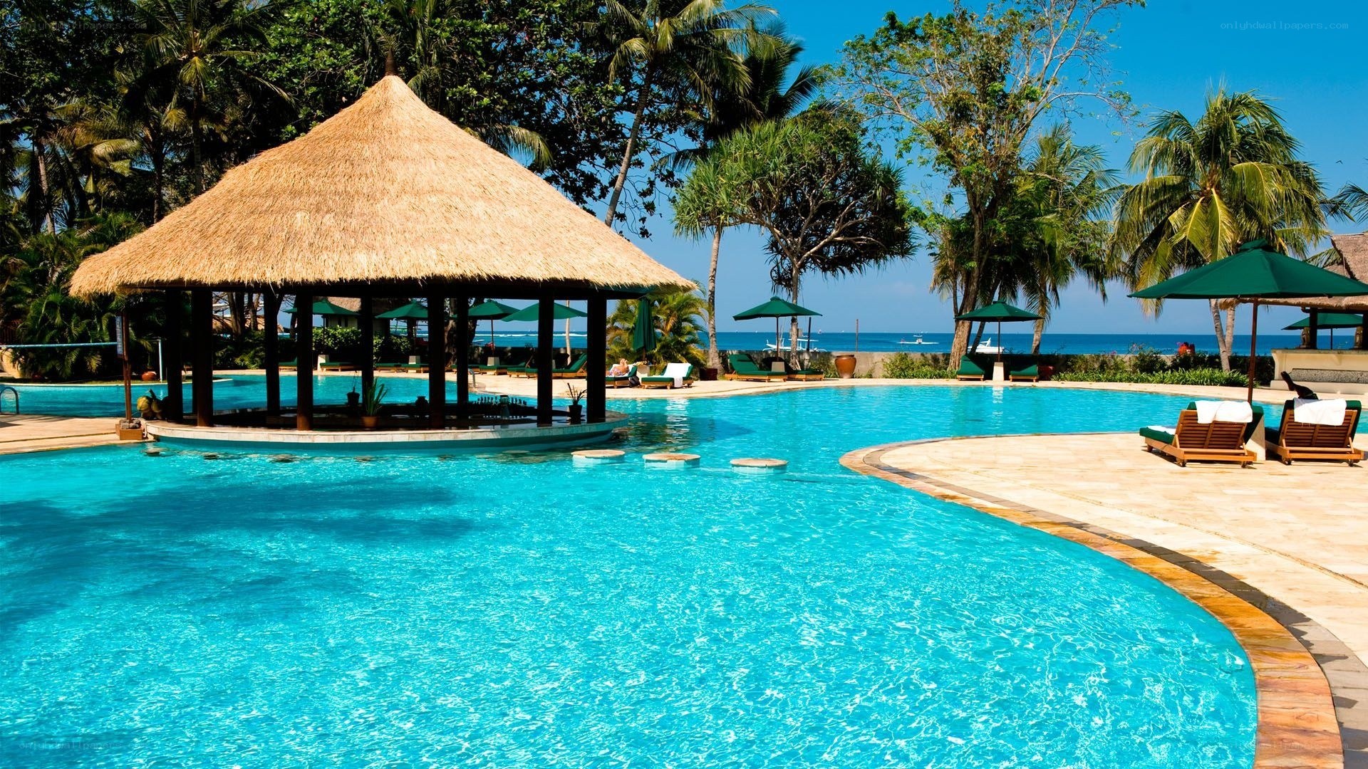 tropical resort pool with ocean view