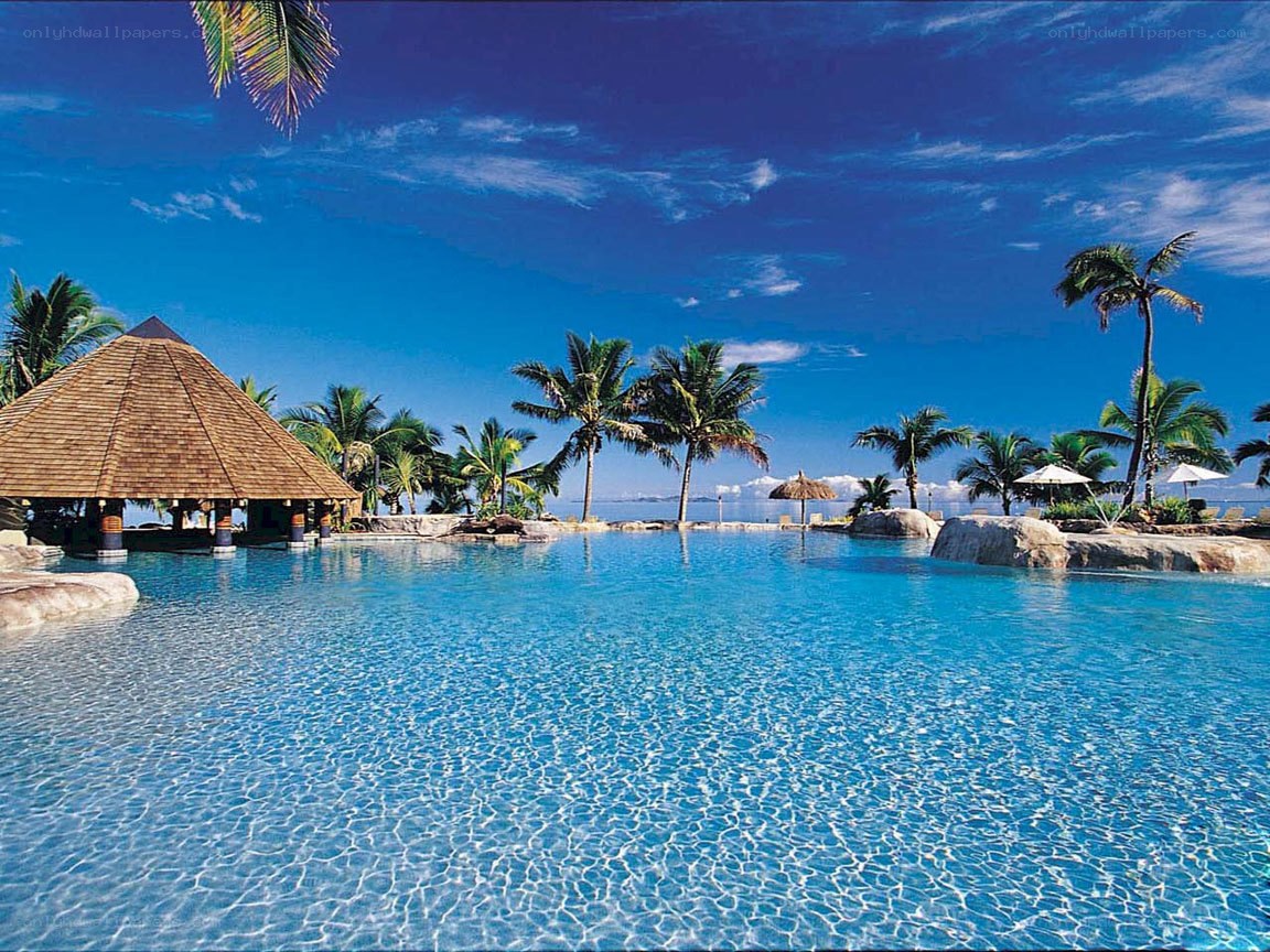 Tropical resort pool with palm trees
