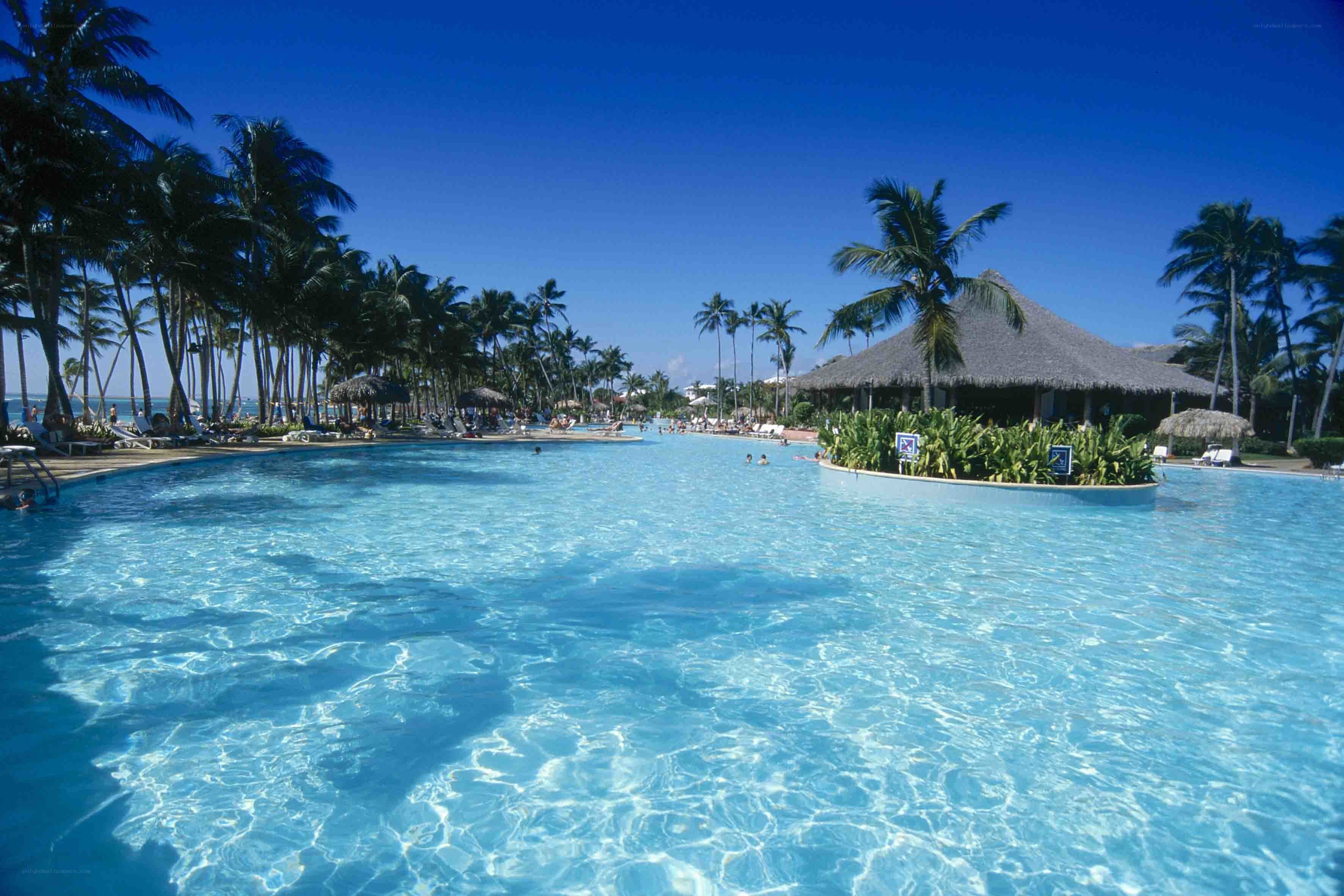 tropical resort pool with palm trees