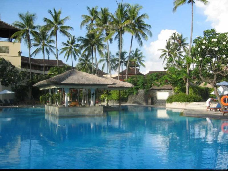 tropical resort pool with palm trees