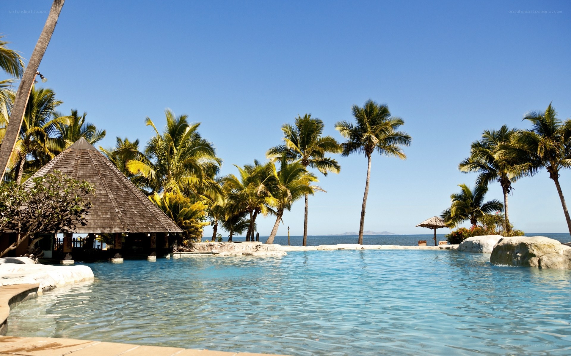 tropical resort pool with palm trees