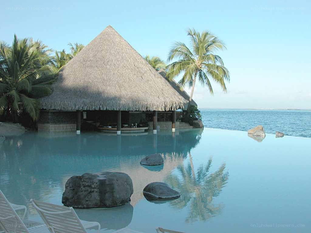 tropical resort pool with thatched hut
