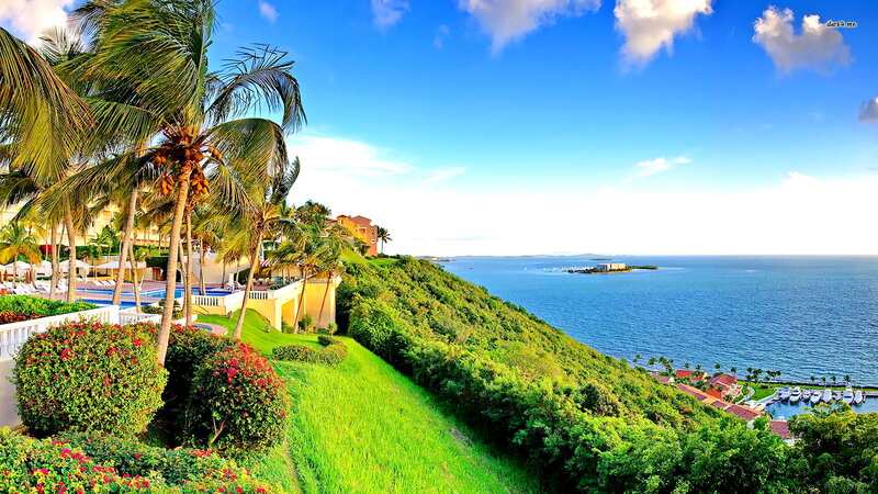 Tropical Resort View — Blue, Serene, Afternoon, Photograph, Palm Trees