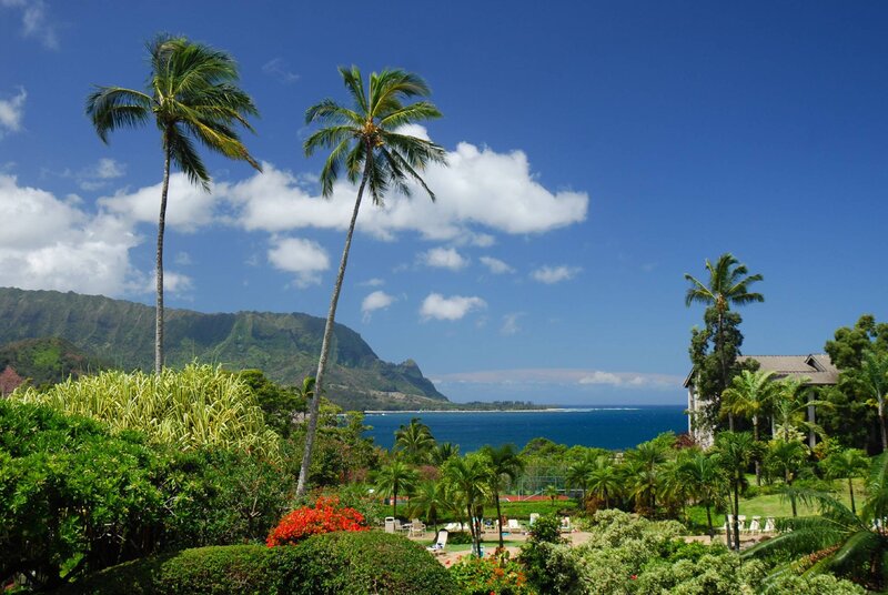 Tropical Resort View — Blue