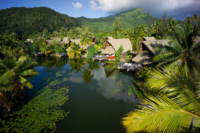 Tropical Resort Villas — Green