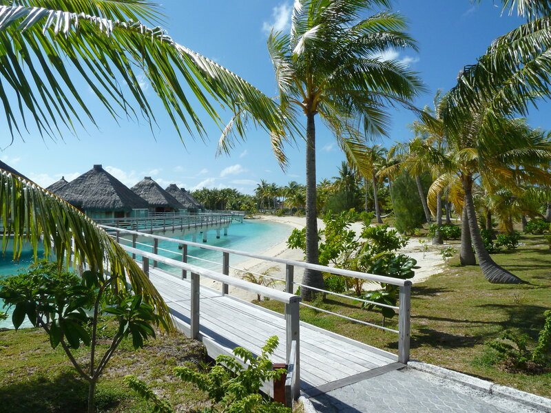 Tropical Resort Walkway
