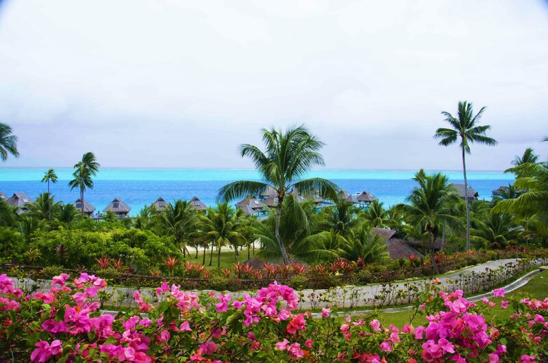 Tropical Resort with Bungalows — Blue