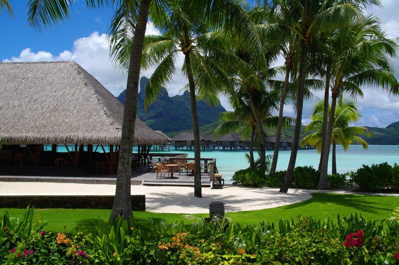 Tropical Resort with Bungalows