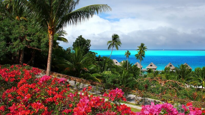 Tropical Resort with Flowers — Red