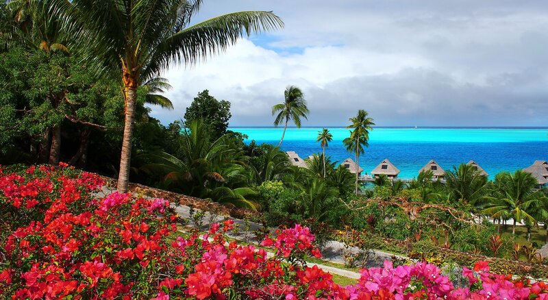 Tropical Resort with Flowers