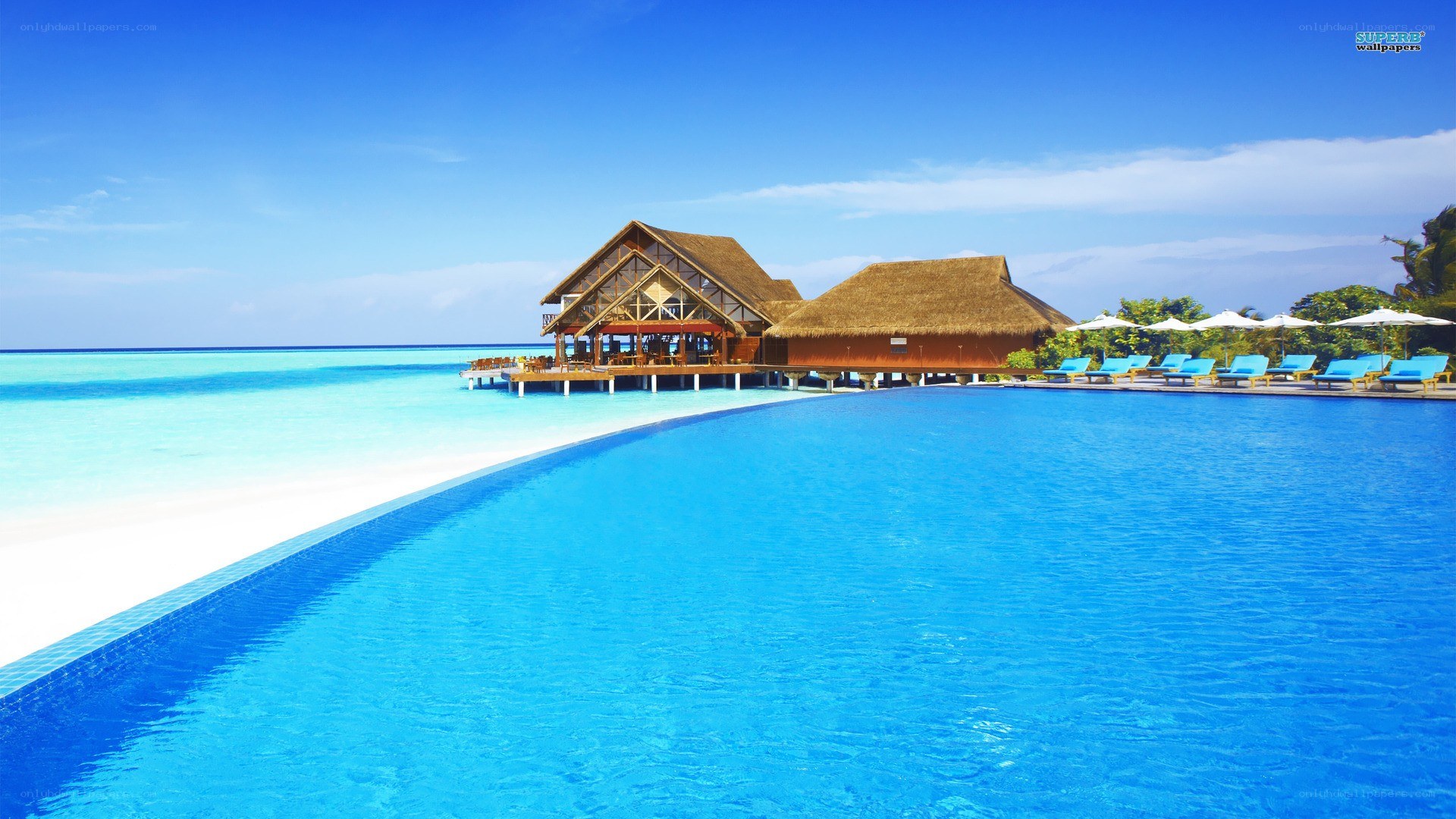 tropical resort with infinity pool