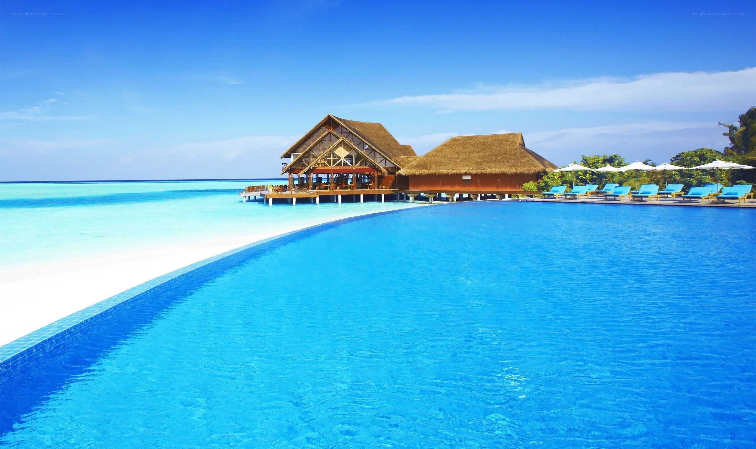 tropical resort with infinity pool