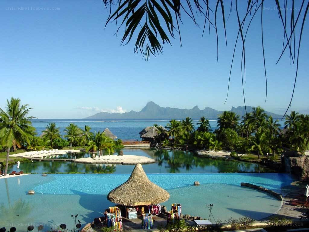 Tropical resort with infinity pool