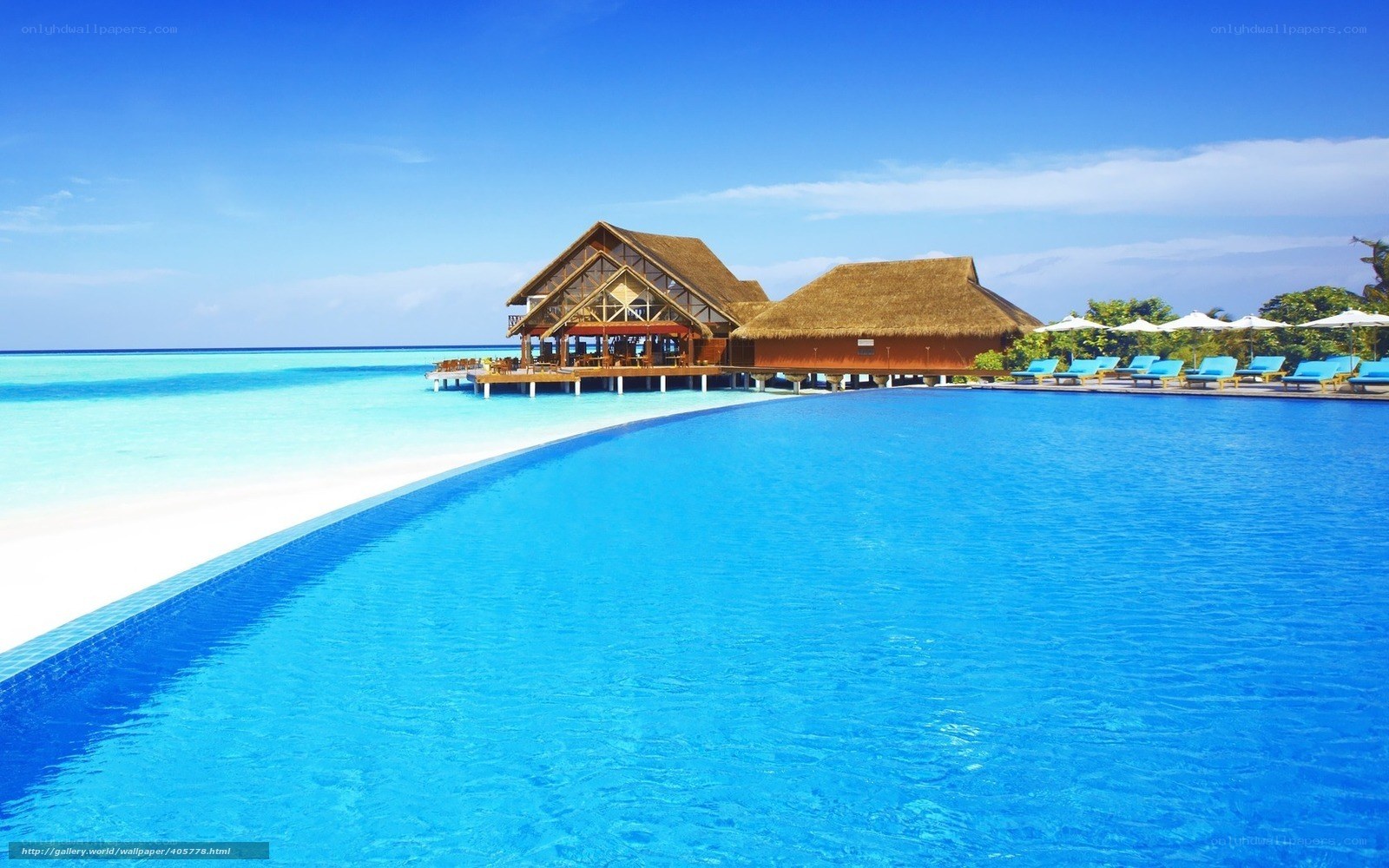 tropical resort with infinity pool
