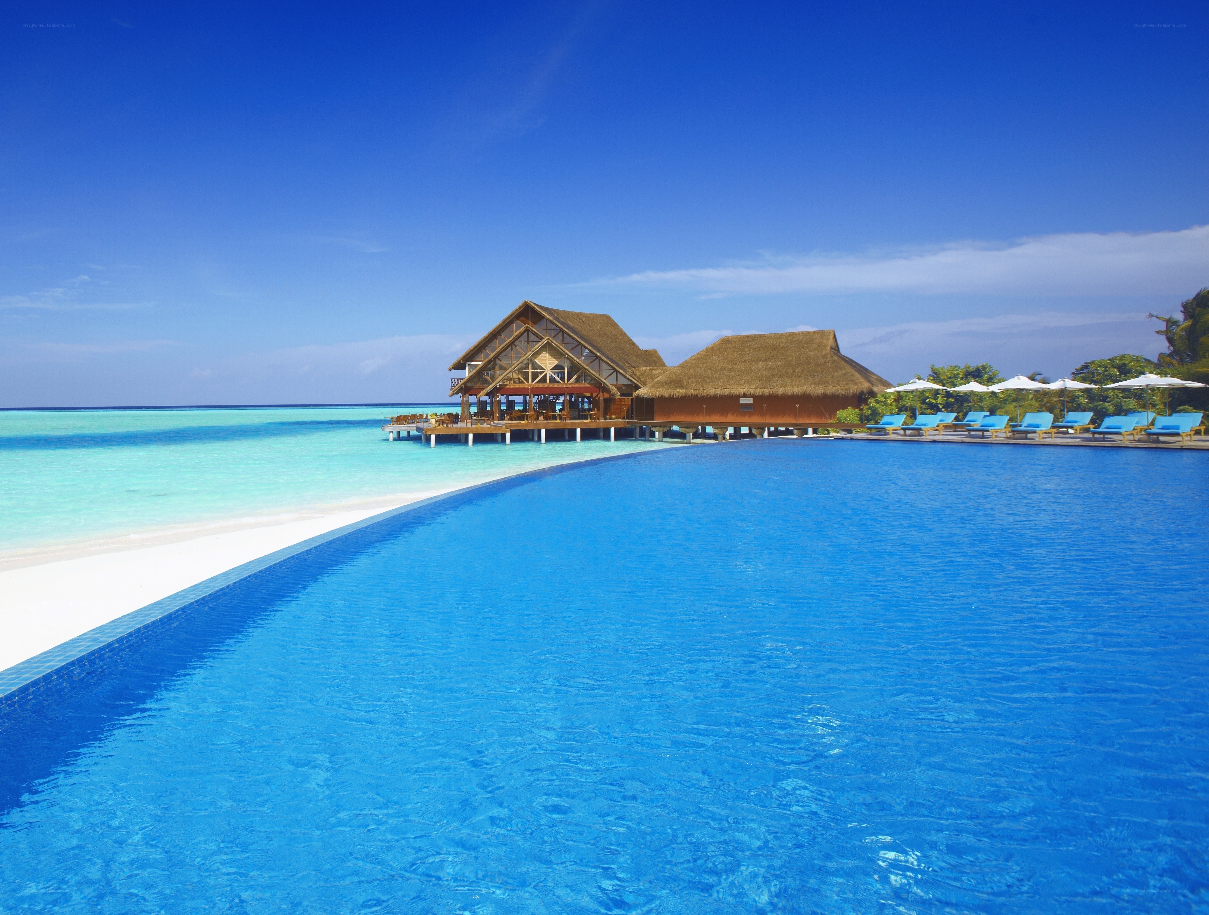 tropical resort with infinity pool