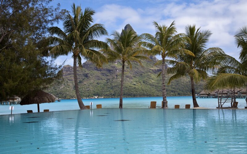 tropical resort with infinity pool