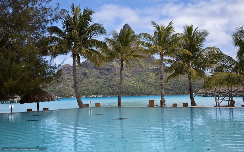 tropical resort with infinity pool