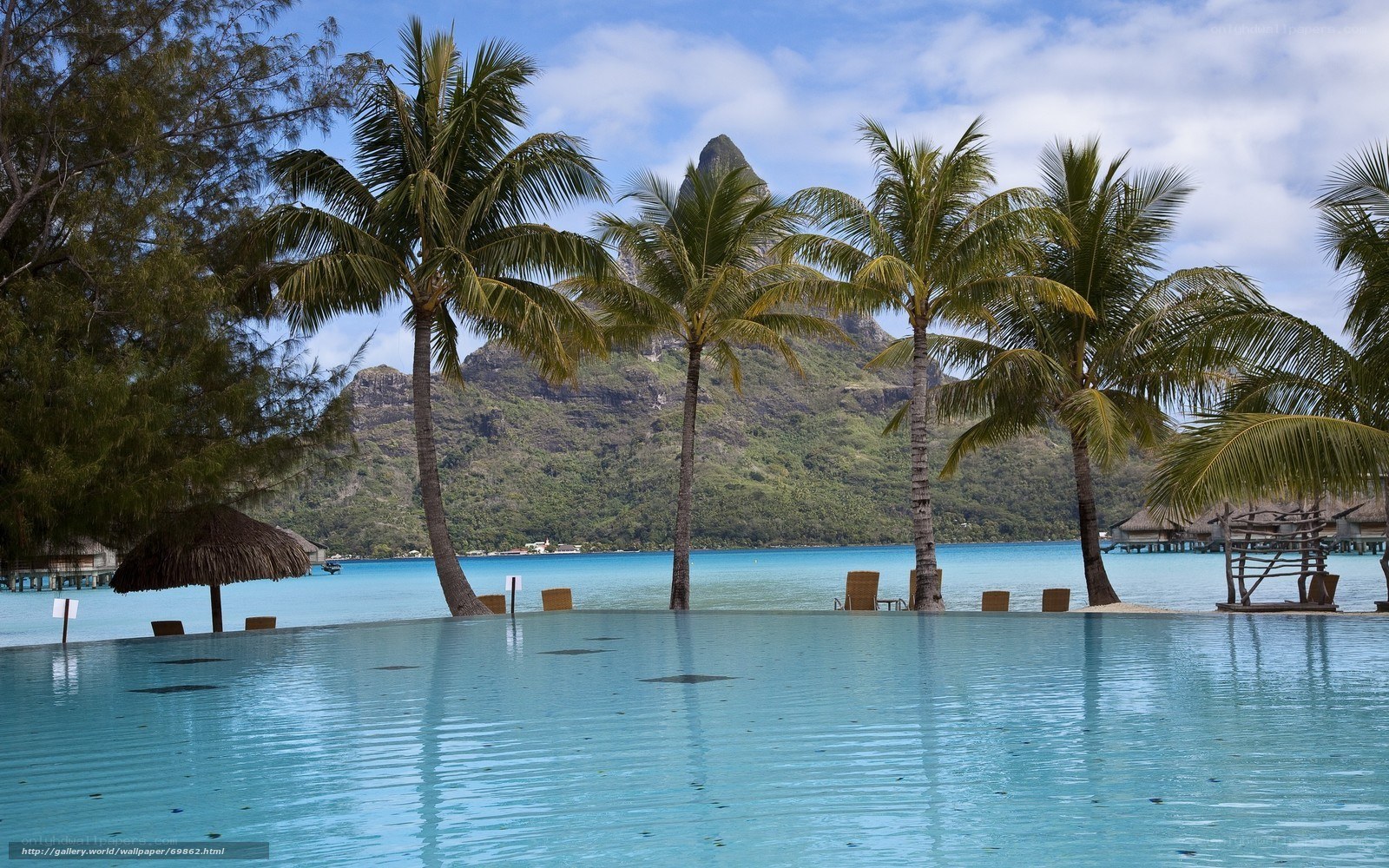 tropical resort with infinity pool