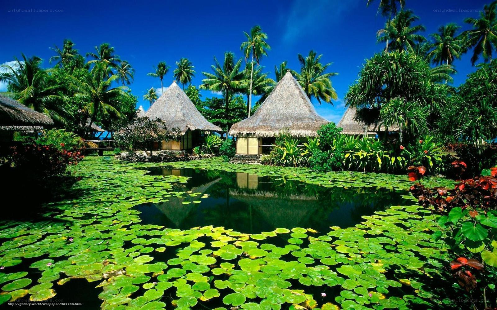 Tropical resort with lily pads