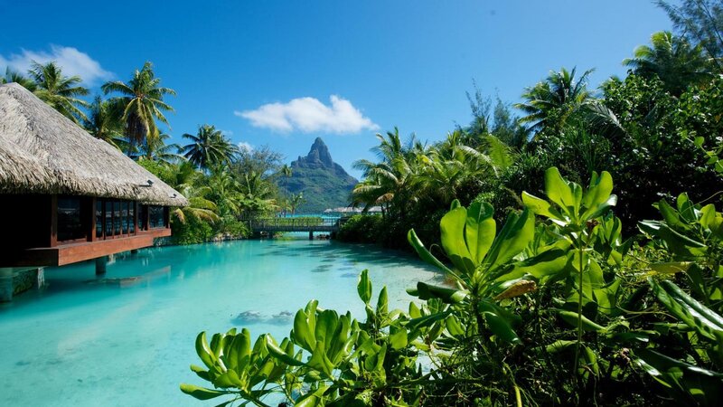 Tropical Resort with Mountain