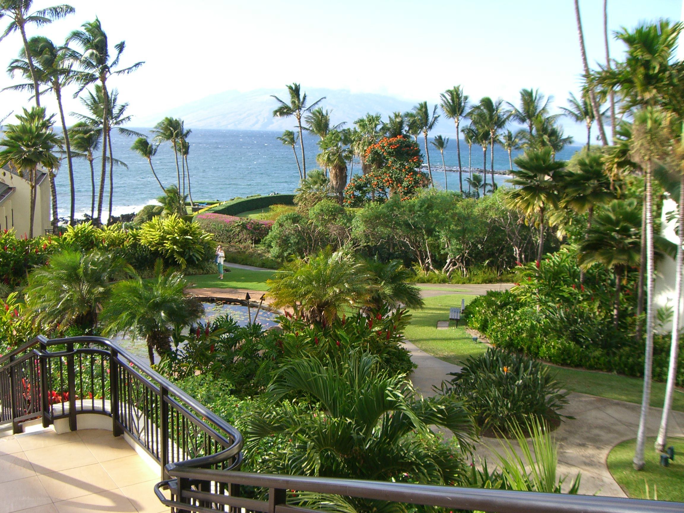 Tropical resort with ocean view