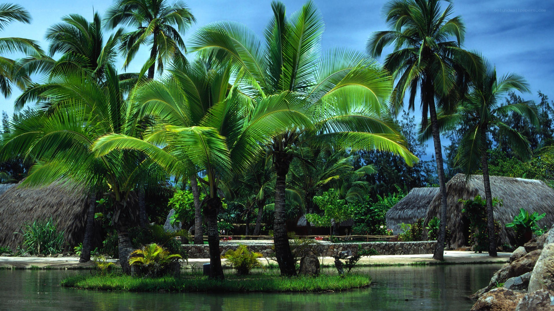 Tropical resort with palm trees
