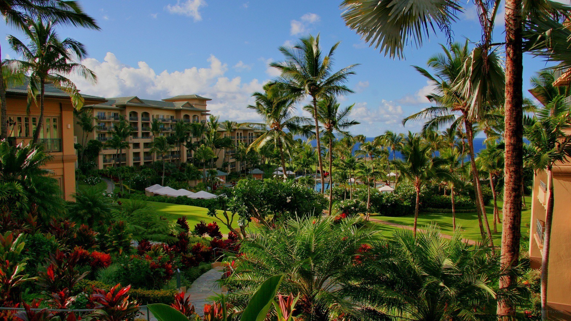 Tropical resort with palm trees