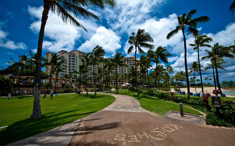 tropical resort with palm trees