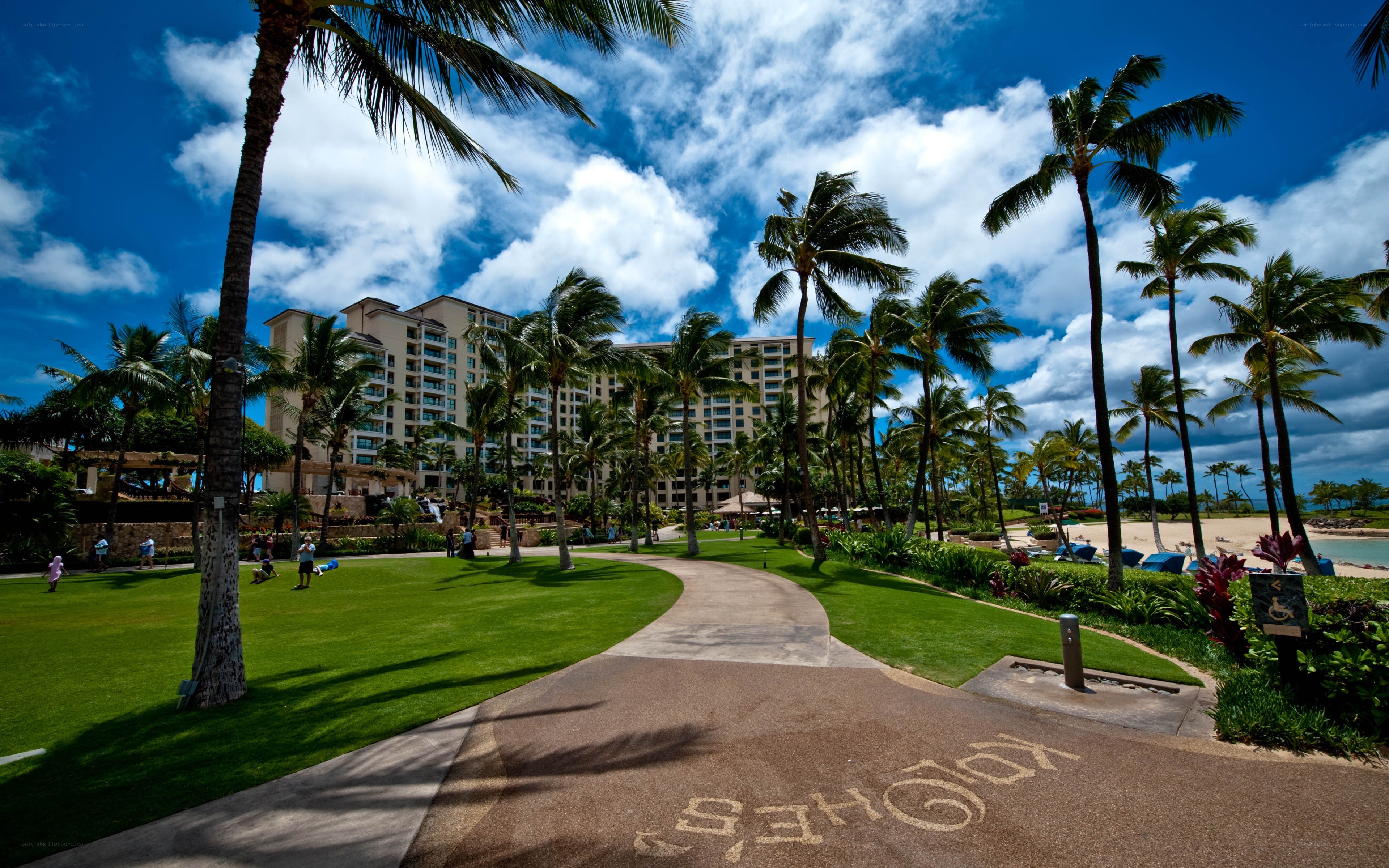 tropical resort with palm trees