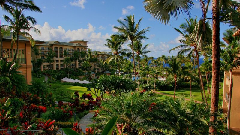 Tropical resort with palm trees
