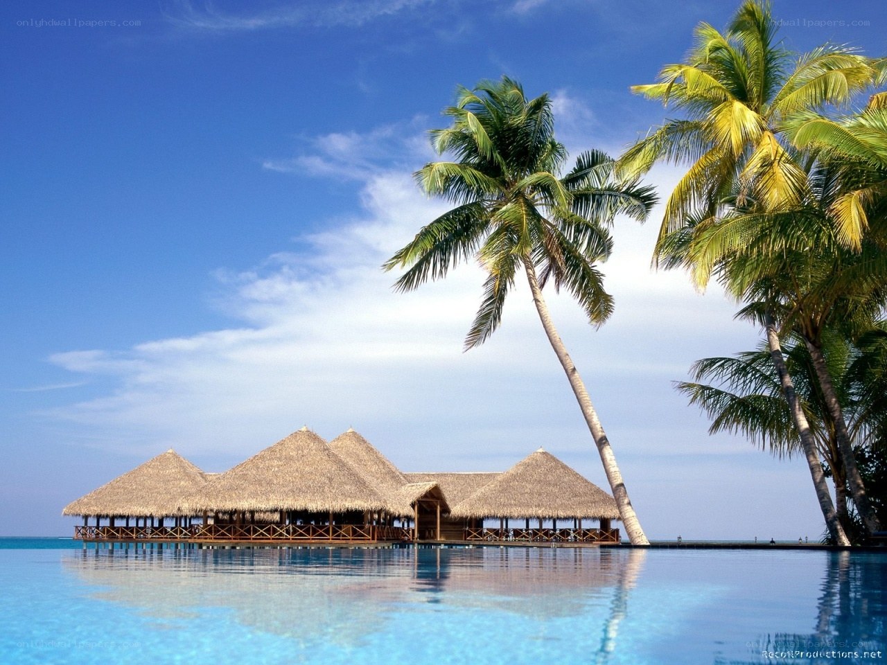 Tropical resort with palm trees