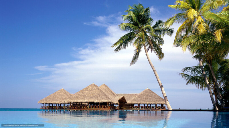 tropical resort with palm trees