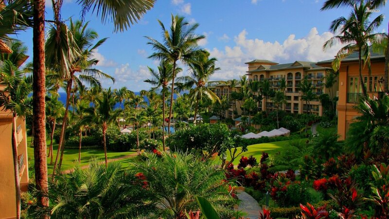 Tropical Resort with Palm Trees — Green, Serene