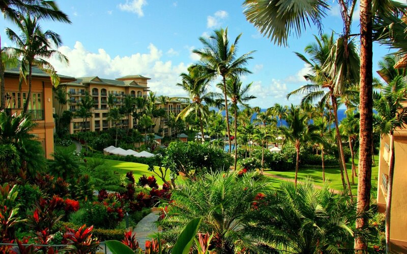 Tropical Resort with Palm Trees — Green