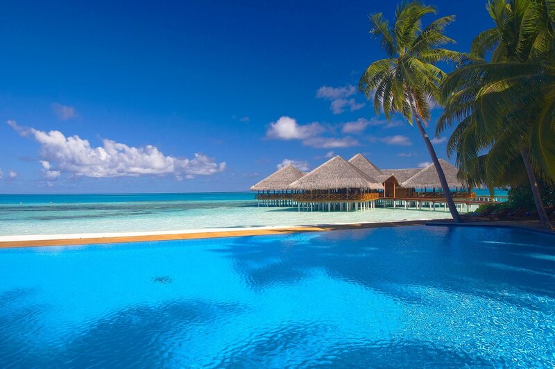 tropical resort with pool and overwater bungalows
