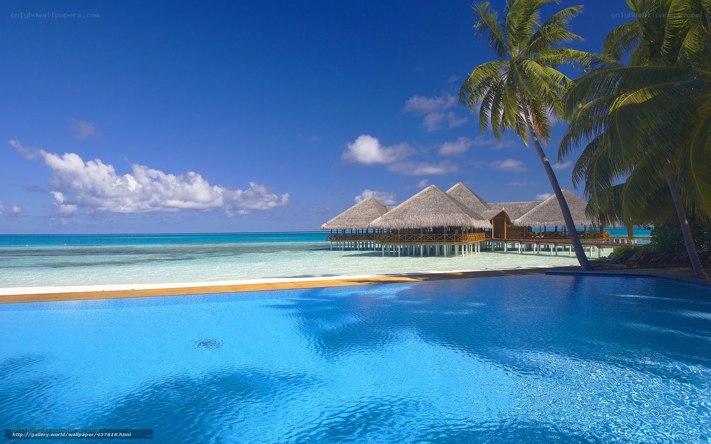 tropical resort with pool and overwater bungalows