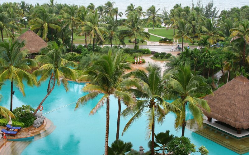 tropical resort with pool and palm trees