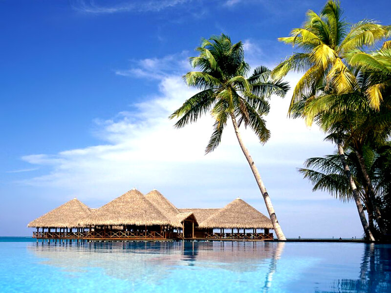 tropical resort with pool and palm trees