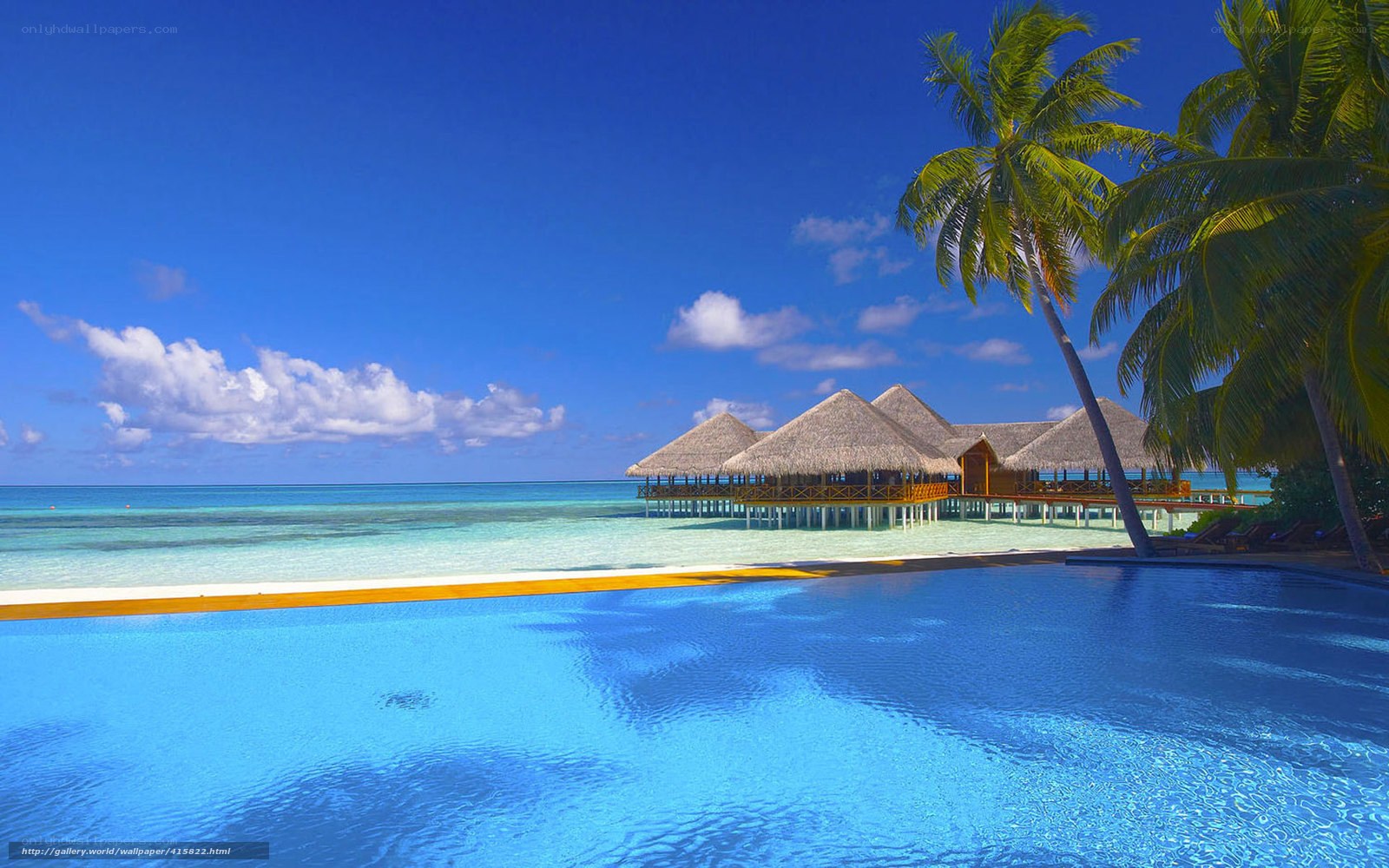 tropical resort with pool and villas