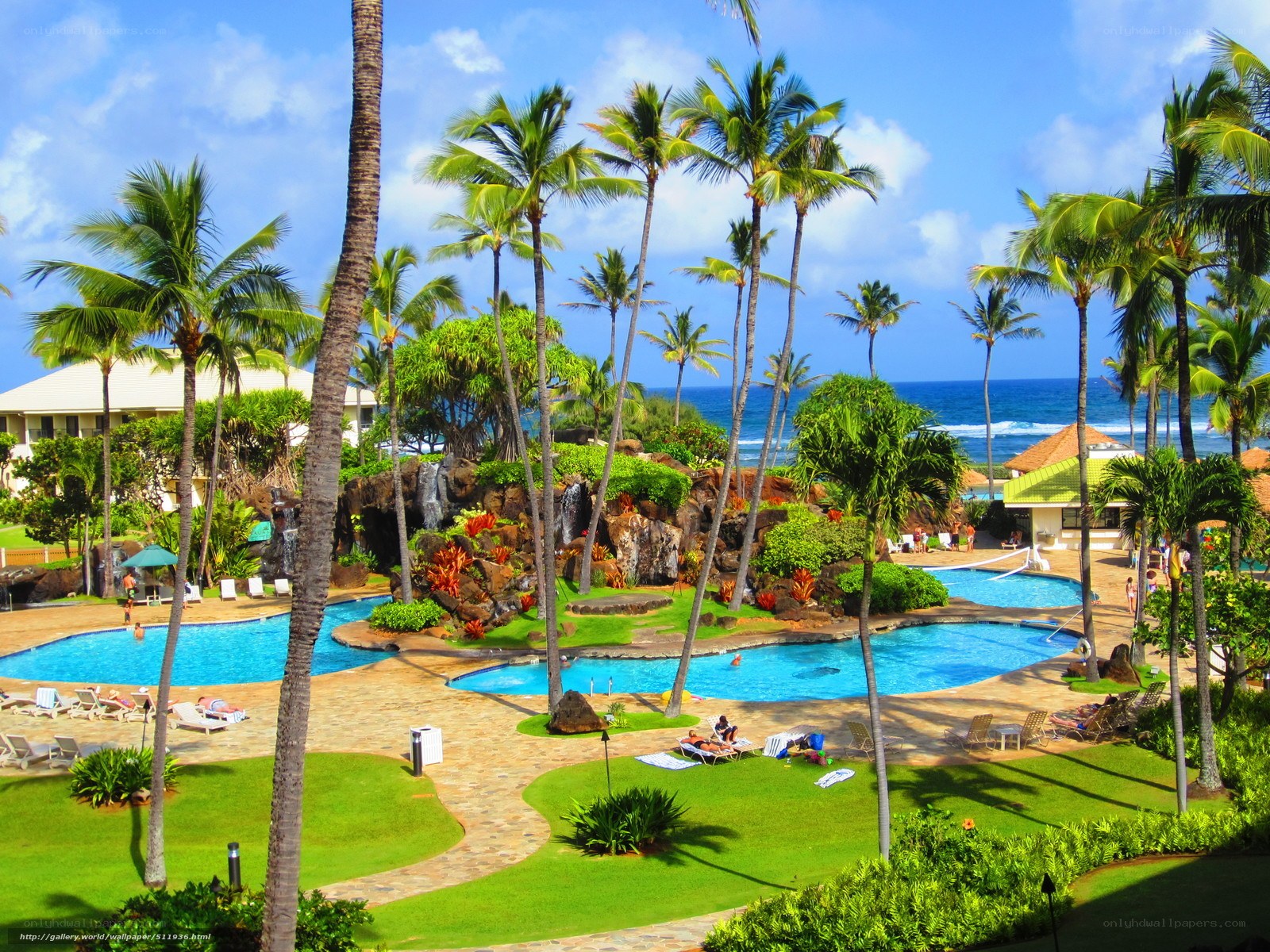 Tropical resort with pools and palm trees