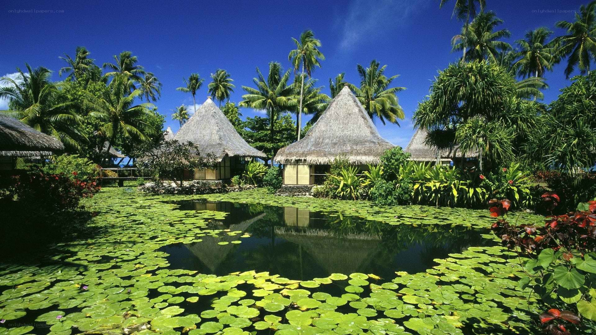 Tropical resort with thatched huts