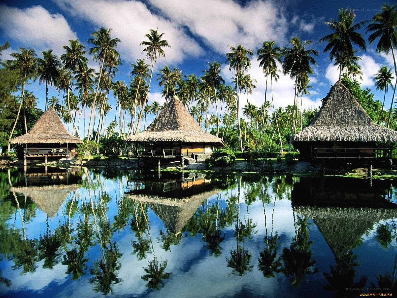 Tropical resort with thatched huts