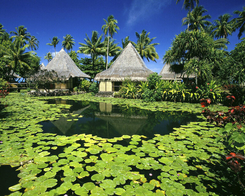 Tropical resort with thatched huts